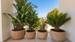 Four potted plants on a balcony with a clear view of buildings in the background. - Villa Las Golondrinas New 100% July 2026  20 minutes walk from Sitges Beaches (Sitges)