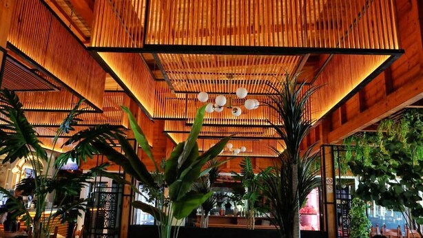 Una habitación con techo de bambú, ventanas amplias y plantas de interior.