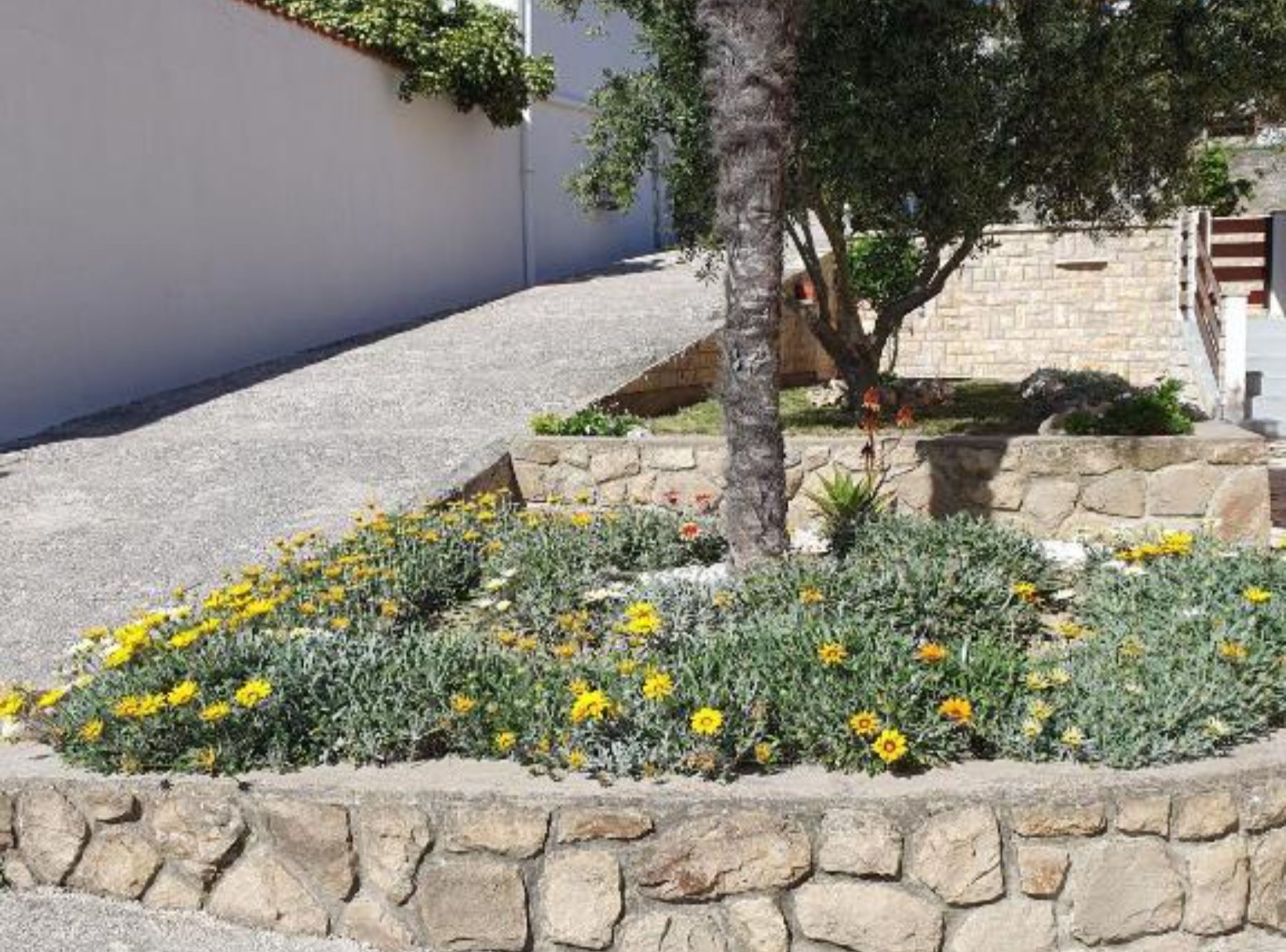 Un muro de piedra, un árbol y flores amarillas en un jardín.