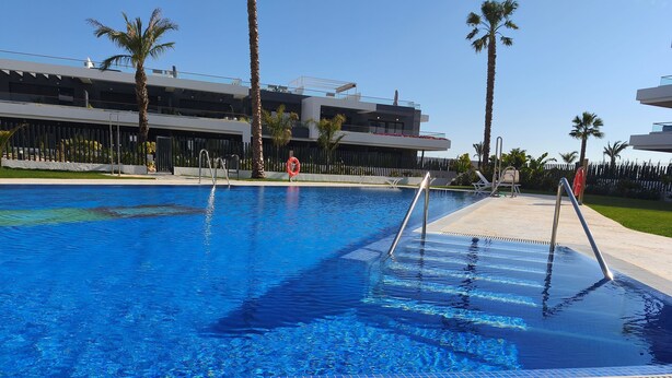 Ein Schwimmbecken mit klarem, blauem Wasser, umgeben von Palmen und modernen Gebäuden.