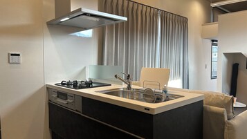 Una kitchenette compacta con estufa a gas, lavamanos y una campana extractora moderna.