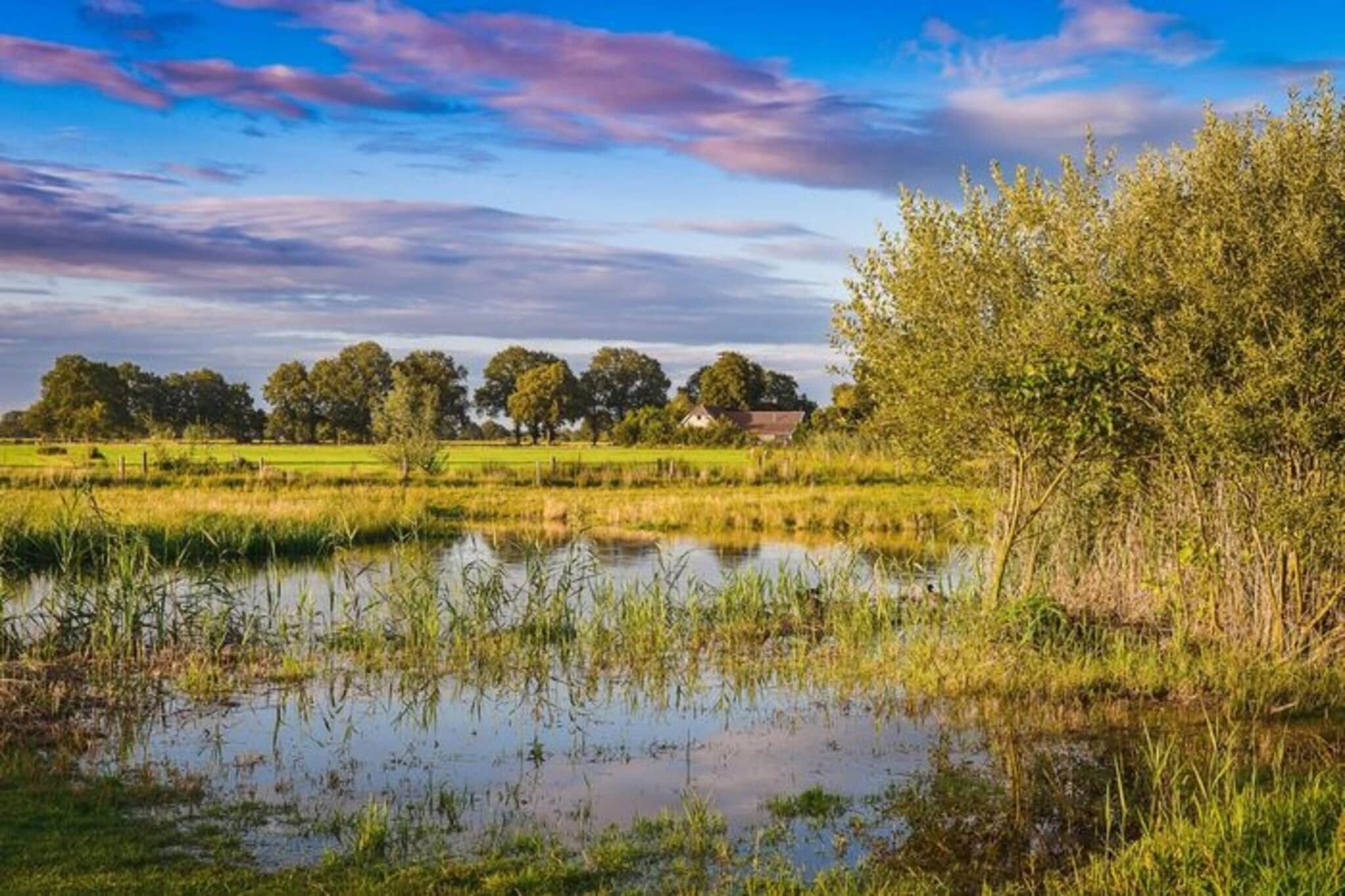 Paisagem rural com um lago, árvores e uma casa ao fundo.
