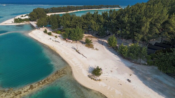 Eine Küstenlandschaft mit Sandstrand, klarem türkisblauem Wasser und dichtem Grünwald.