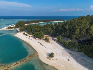Un paysage côtier caractérisé par une plage de sable, des eaux turquoise et limpides, et une forêt verdoyante et dense.