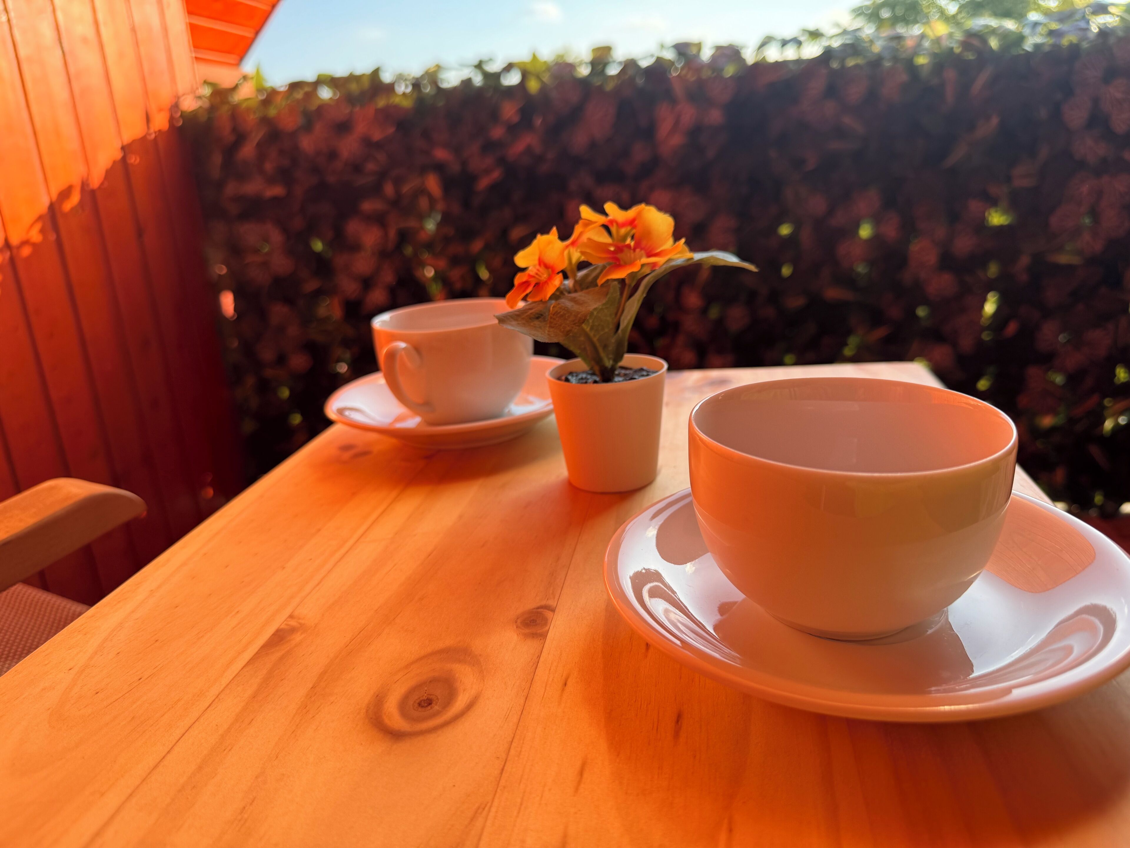 Une table en bois, deux tasses et sous-tasses blanches, une plante en pot aux fleurs oranges et une chaise en bois.
