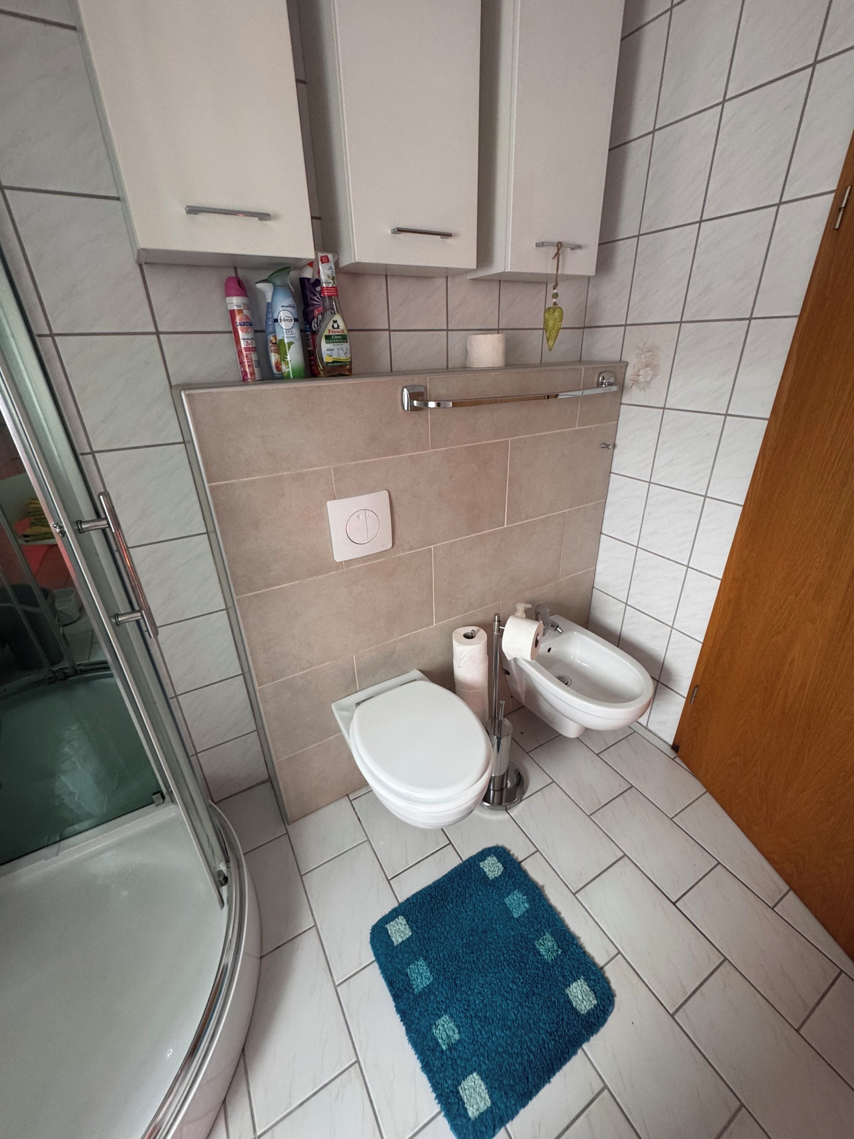 Un baño con inodoro, bidé y ducha. Hay artículos de aseo en la estantería y una alfombra azul en el suelo.