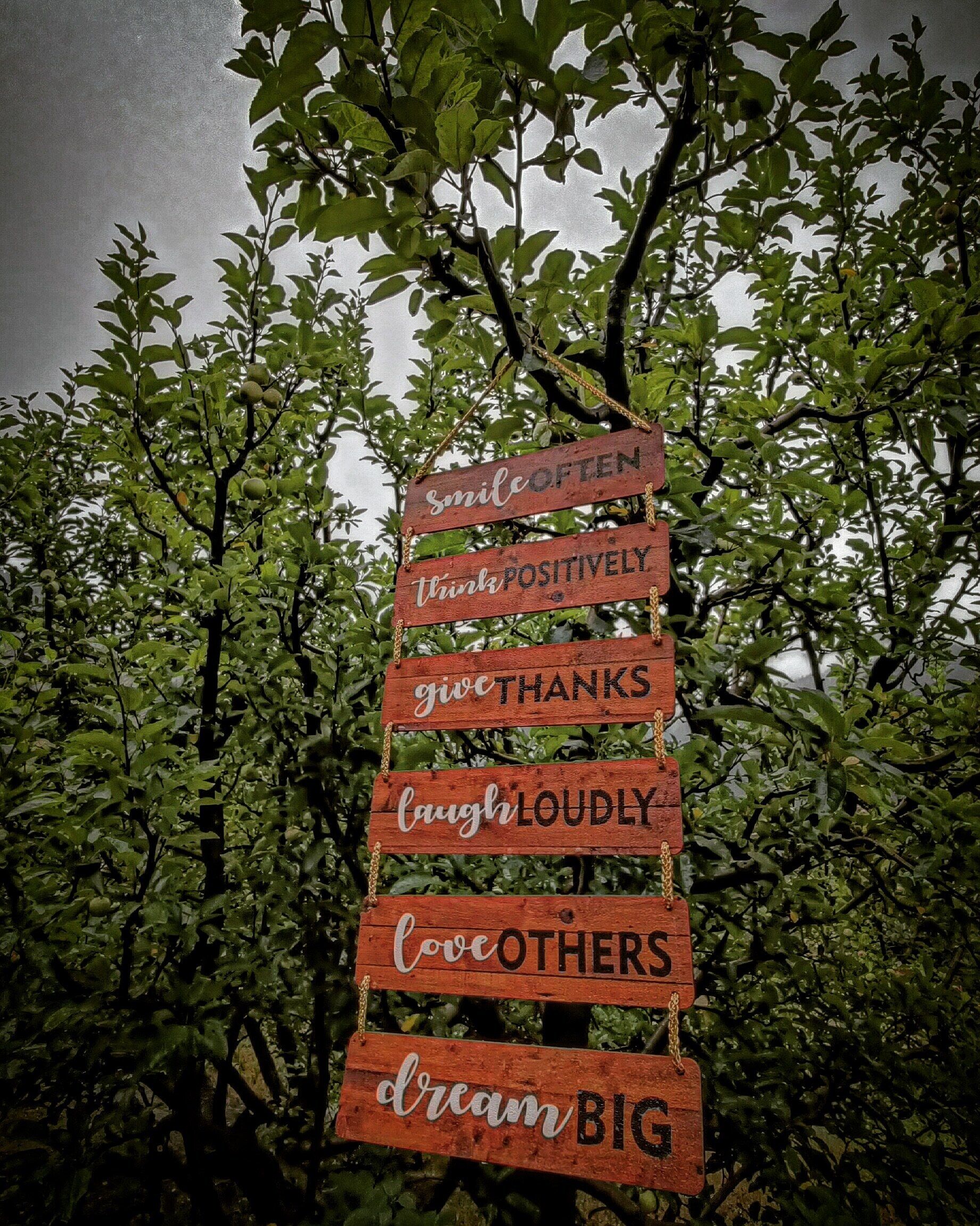 Un letrero de madera con frases motivacionales sobre un fondo de follaje verde.