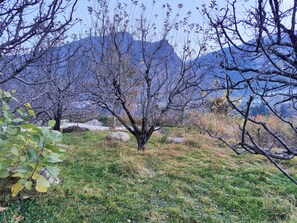 Miscellaneous - Cottage Palzey Manali (Manali)