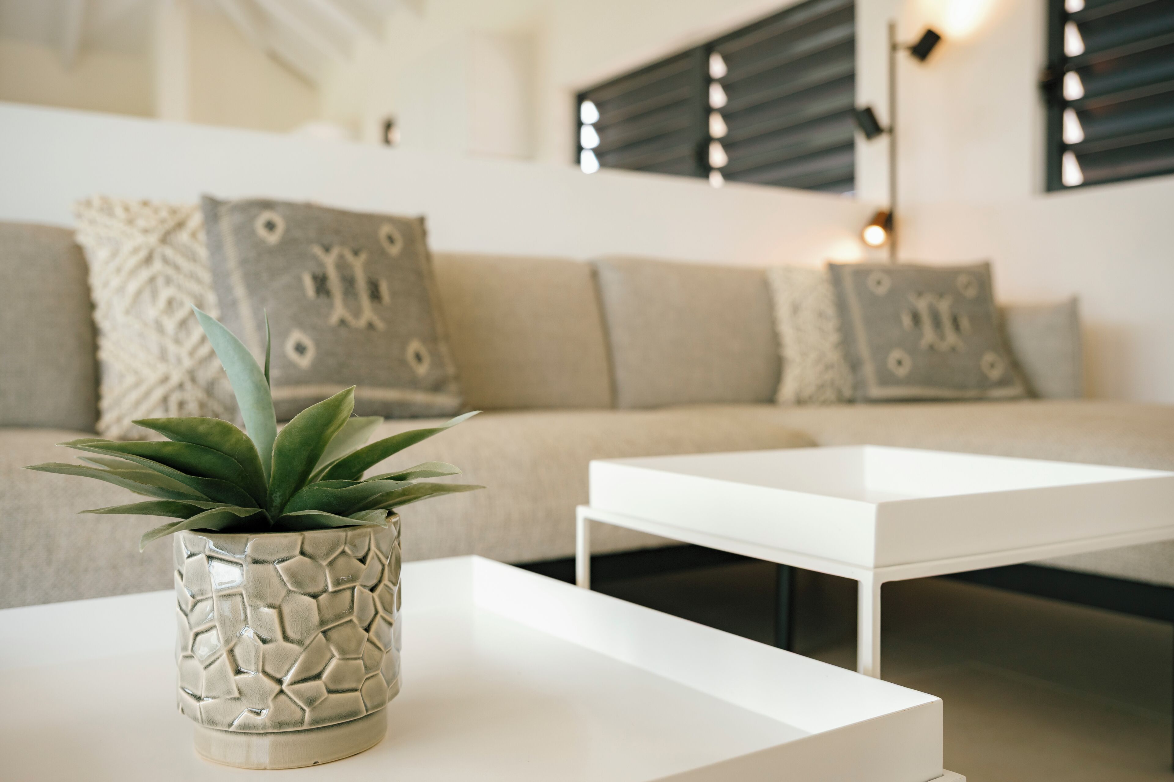 A modern living room with a sofa, two white coffee tables, and a decorative plant in a textured pot.