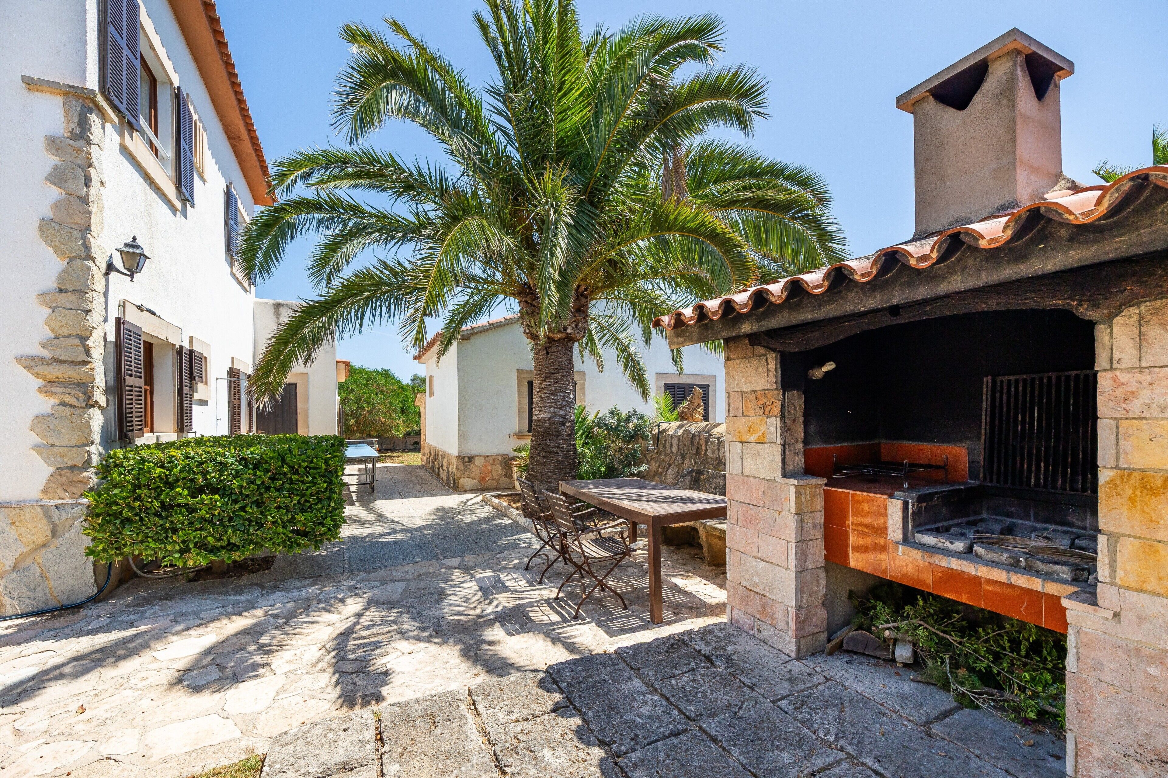 Un cortile con pavimento in pietra, una palma, un'area barbecue e un tavolo con sedie.