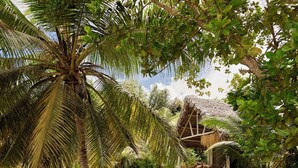 Bungalow Deluxe, 1 cama King size, frente al mar | Wifi gratis 