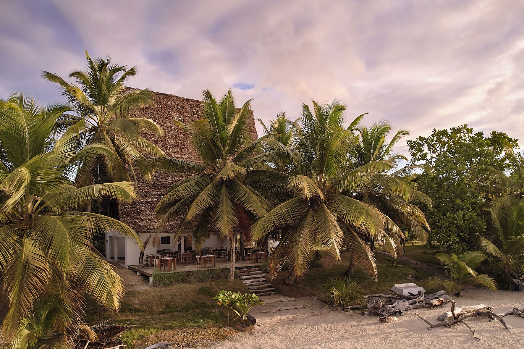 Een vakantiehuis aan het strand, met een rieten dak, palmbomen en een zandstrand.
