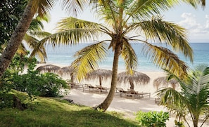 Una playa con palmeras, sombrillas de paja y sillones de madera.