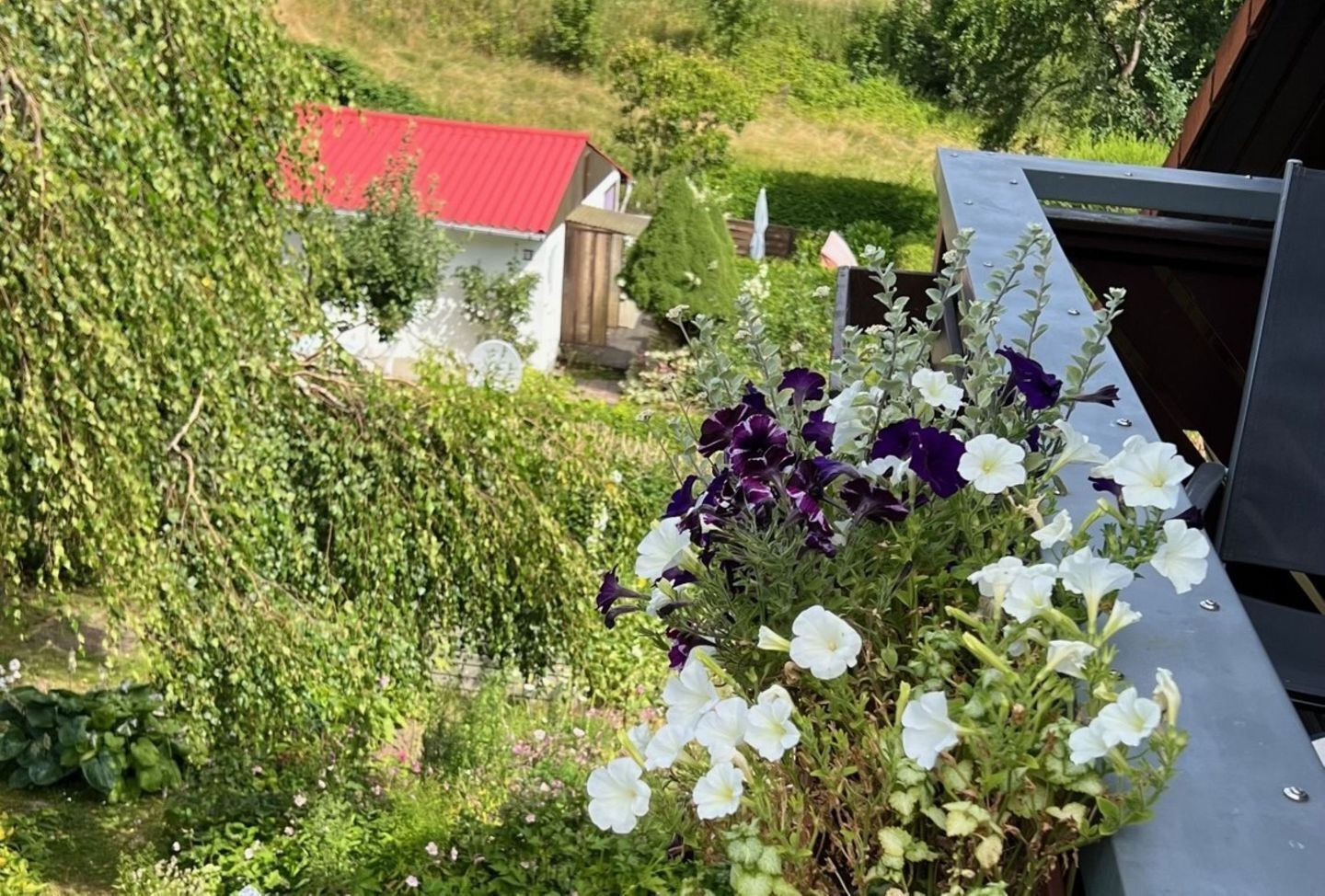 Ein Garten mit verschiedenen Blumen, ein Gebäude mit rotem Dach und eine Metallkonstruktion.