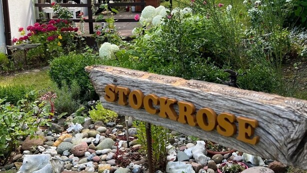 Ein Garten mit einem Holzschild, auf dem 'STOCKROSE' steht.