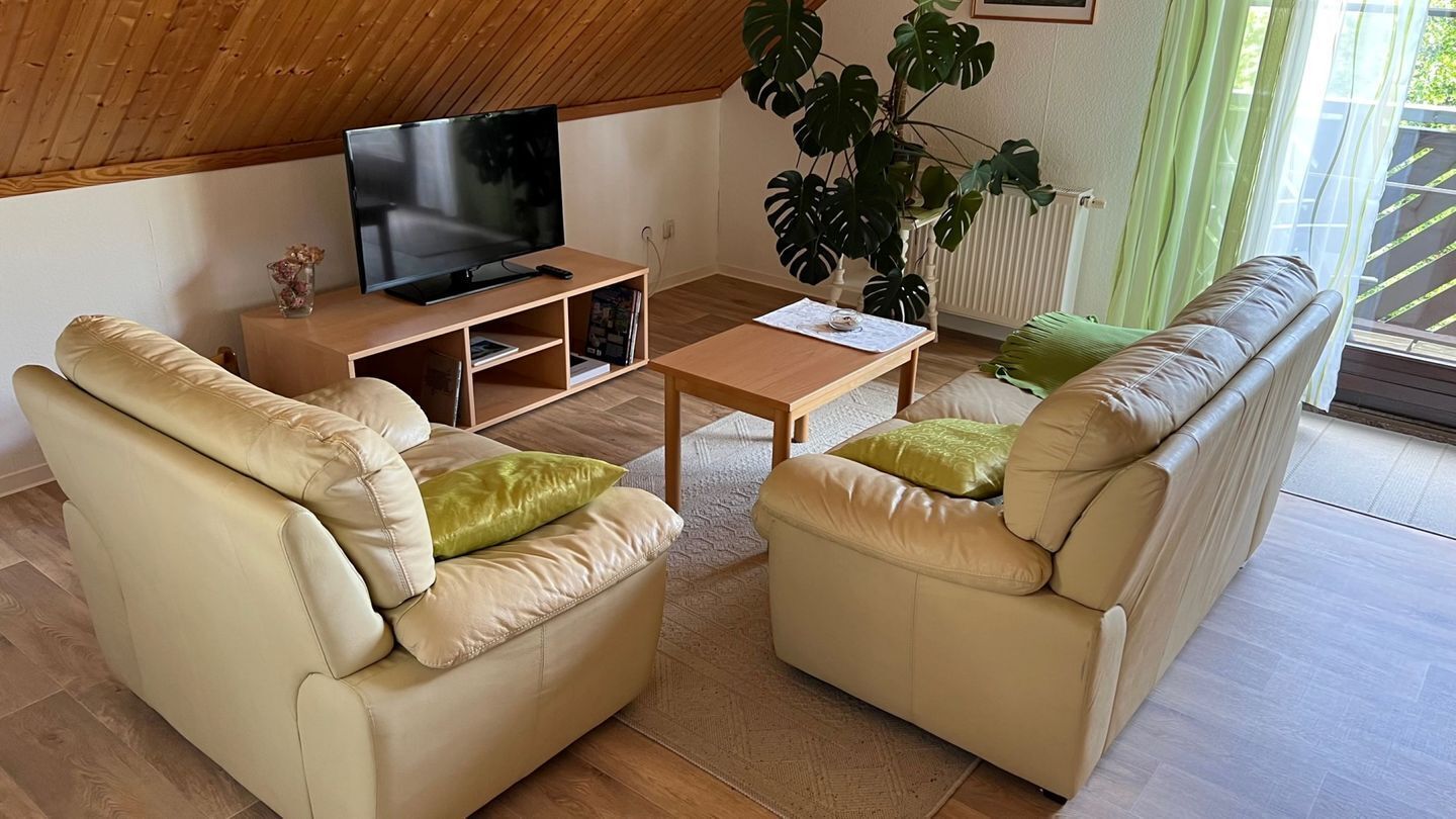 A living room with a television, two sofas, a coffee table, and a large plant.