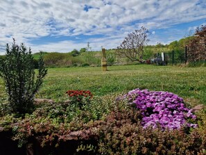 A grassy field with a stone structure, a tree, and purple flowers. - Vacation apartment Tiny - on the edge of the national park in Hagen - Ferienwohnung Tiny - (Lohme OT Hagen)