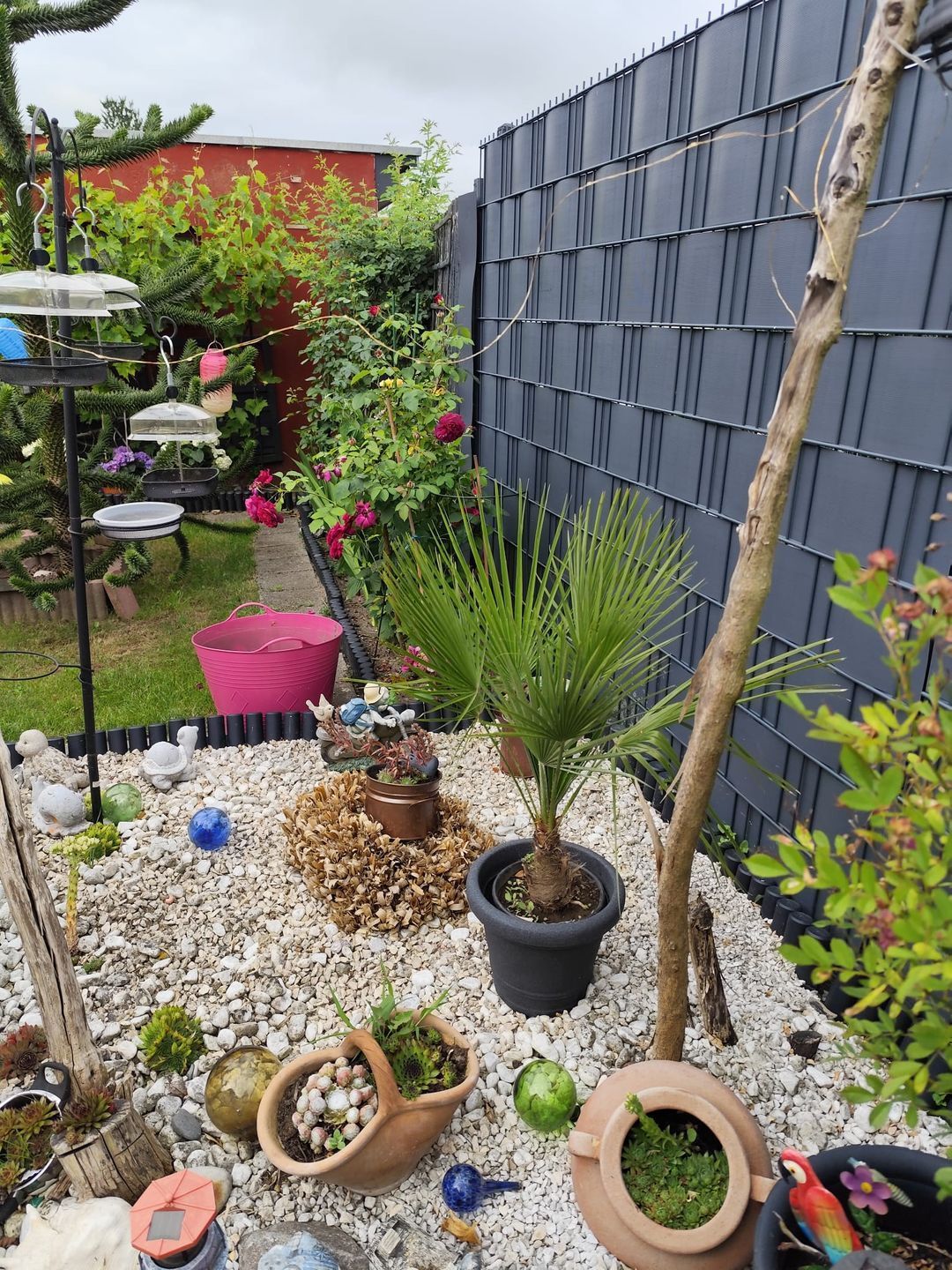 A garden with various plants, a small tree, and decorative items.