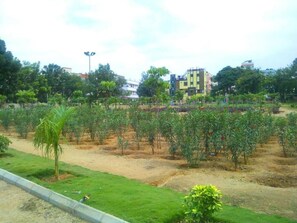 Una zona enjardinada amb diversitat de plantes i arbres, un cel clar i edificis al fons.