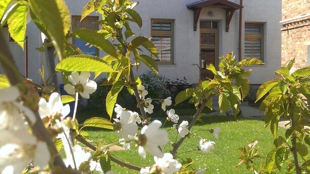 A building with a garden in front, featuring blooming trees and a well-maintained lawn. - Apartment 2 Otto - in the center of Sassnitz - Apartment 2 - only (Sassnitz auf Rügen)