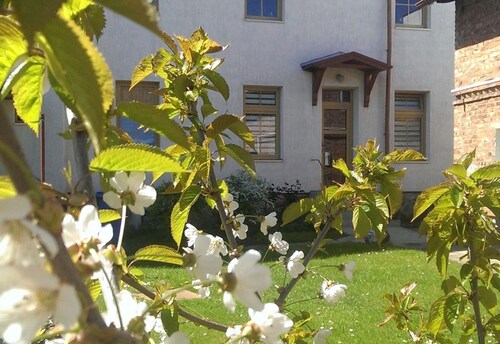 Apartment 2 Otto - in the center of Sassnitz - Apartment 2 - only