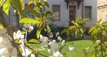 Apartment 2 Otto - in the center of Sassnitz - Apartment 2 - only