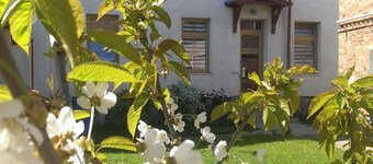 Apartment 2 Otto - in the center of Sassnitz - Apartment 2 - only