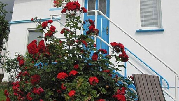 A white building with a blue door and window shutters, a staircase with blue railings, and a potted plant with red flowers. - Apartment Thurk - centrally located in the harbor town of Sassnitz (Sassnitz auf Rügen)