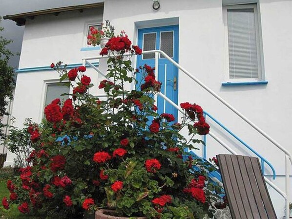 A white building with a blue door and window shutters, a staircase with blue railings, and a potted plant with red flowers. - Apartment Thurk - centrally located in the harbor town of Sassnitz (Sassnitz auf Rügen)