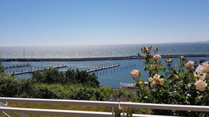 A coastal view with a pier extending into the water, surrounded by greenery and white railings. - Villa Prinz Heinrich - App.3 with balcony and Baltic Sea view - Villa Prinz Heinrich, (Sassnitz auf Rügen)