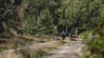 A dirt path in a wooded area with a person on a bicycle.