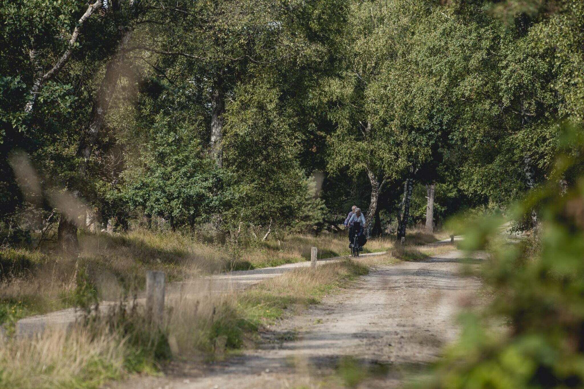 A dirt path in a wooded area with a person on a bicycle.