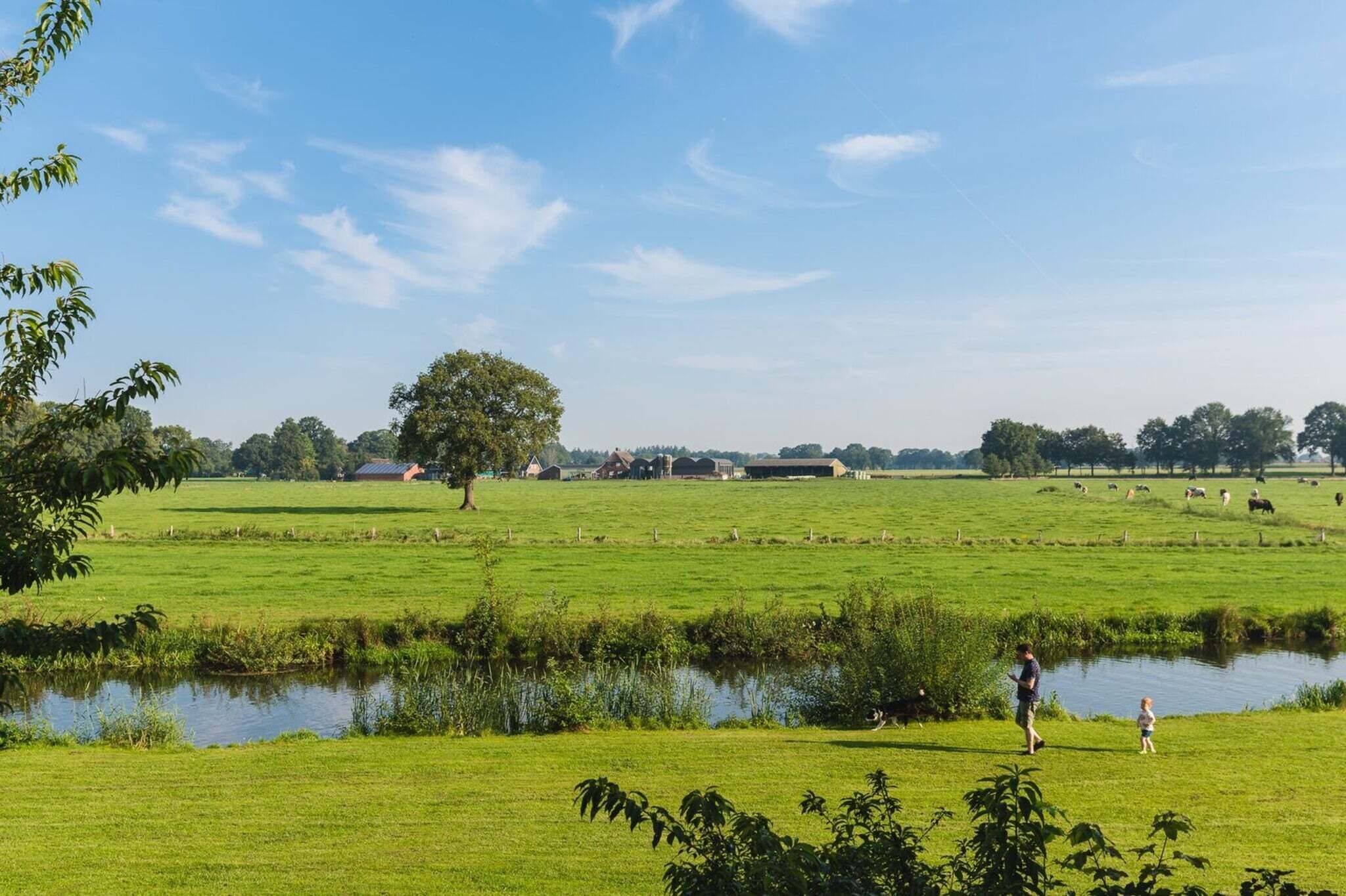 A rural landscape with a pond, green fields, and a few buildings in the distance.