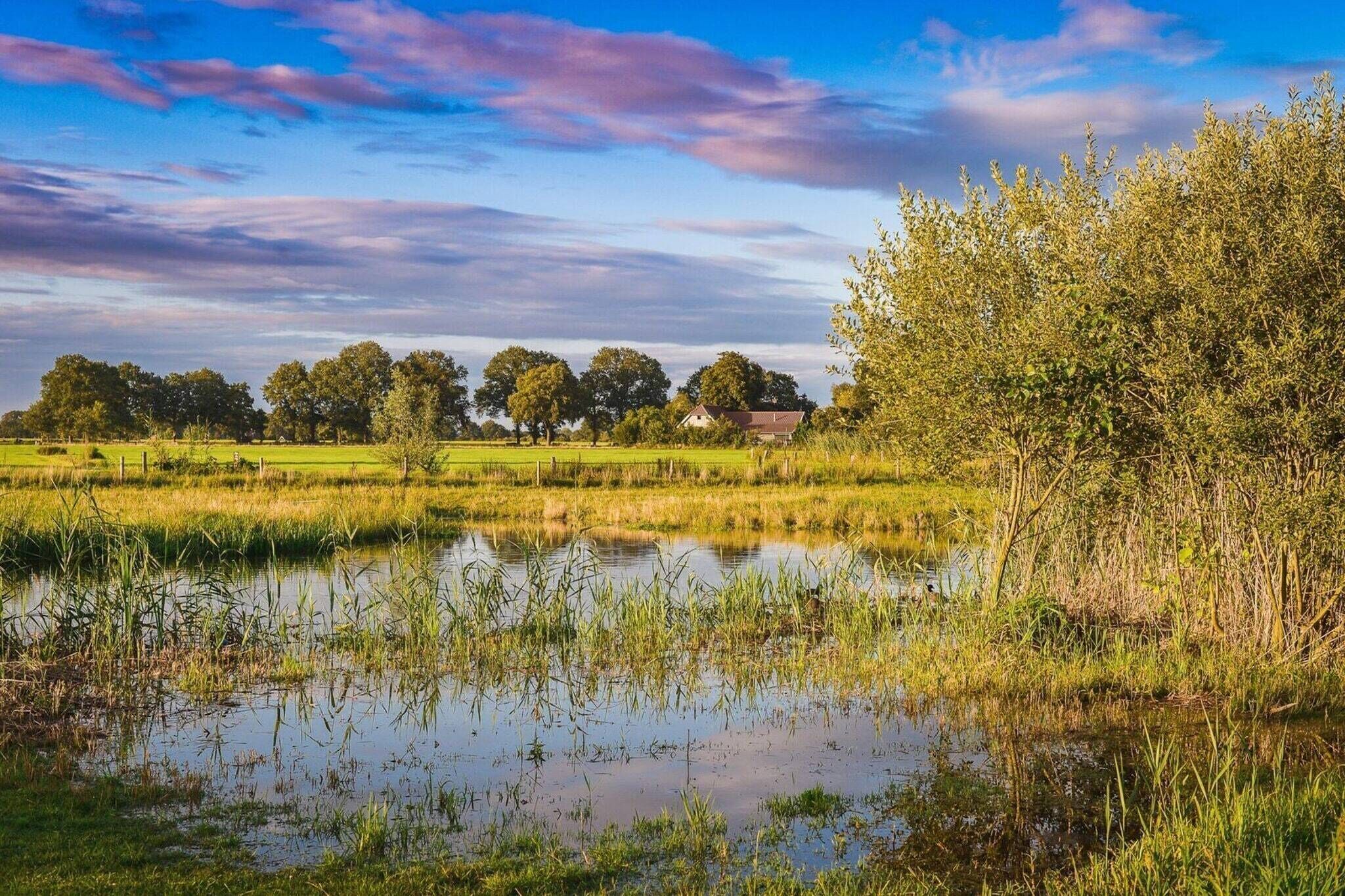 Eine ländliche Landschaft mit Teich, Bäumen und einem Haus im Hintergrund.