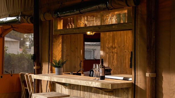 Una zona de bar con barra de madera, una ventana, una planta en maceta y una botella de vino.