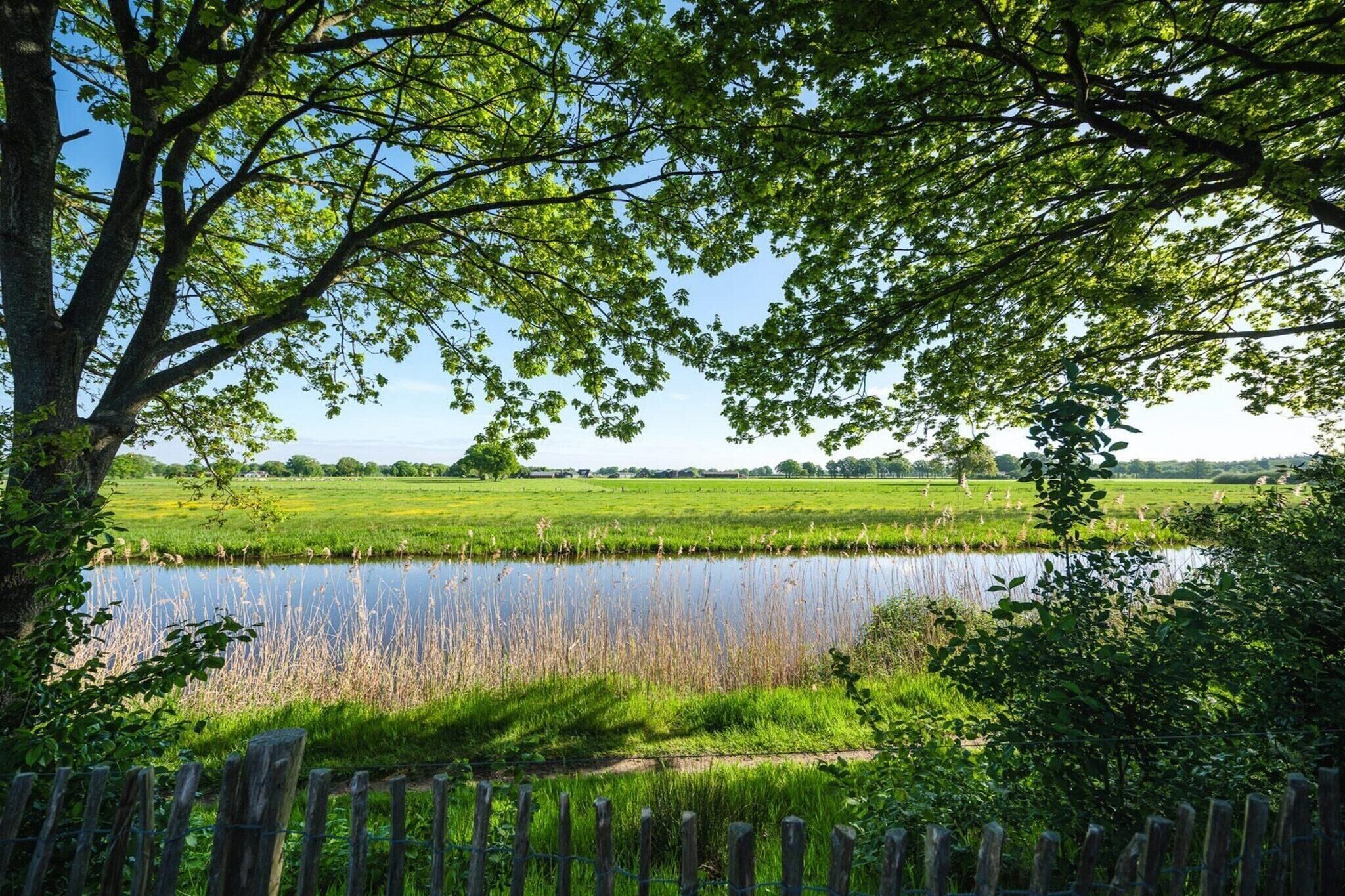 Een vredig landschap met een vijver, weelderige begroeiing en een houten omheining.
