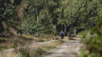 A dirt path in a wooded area with a person on a bicycle.