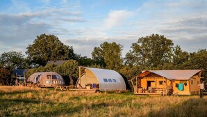 Une série de cabanes en forme de dôme, situées dans un champ herbeux, avec des arbres en arrière-plan.