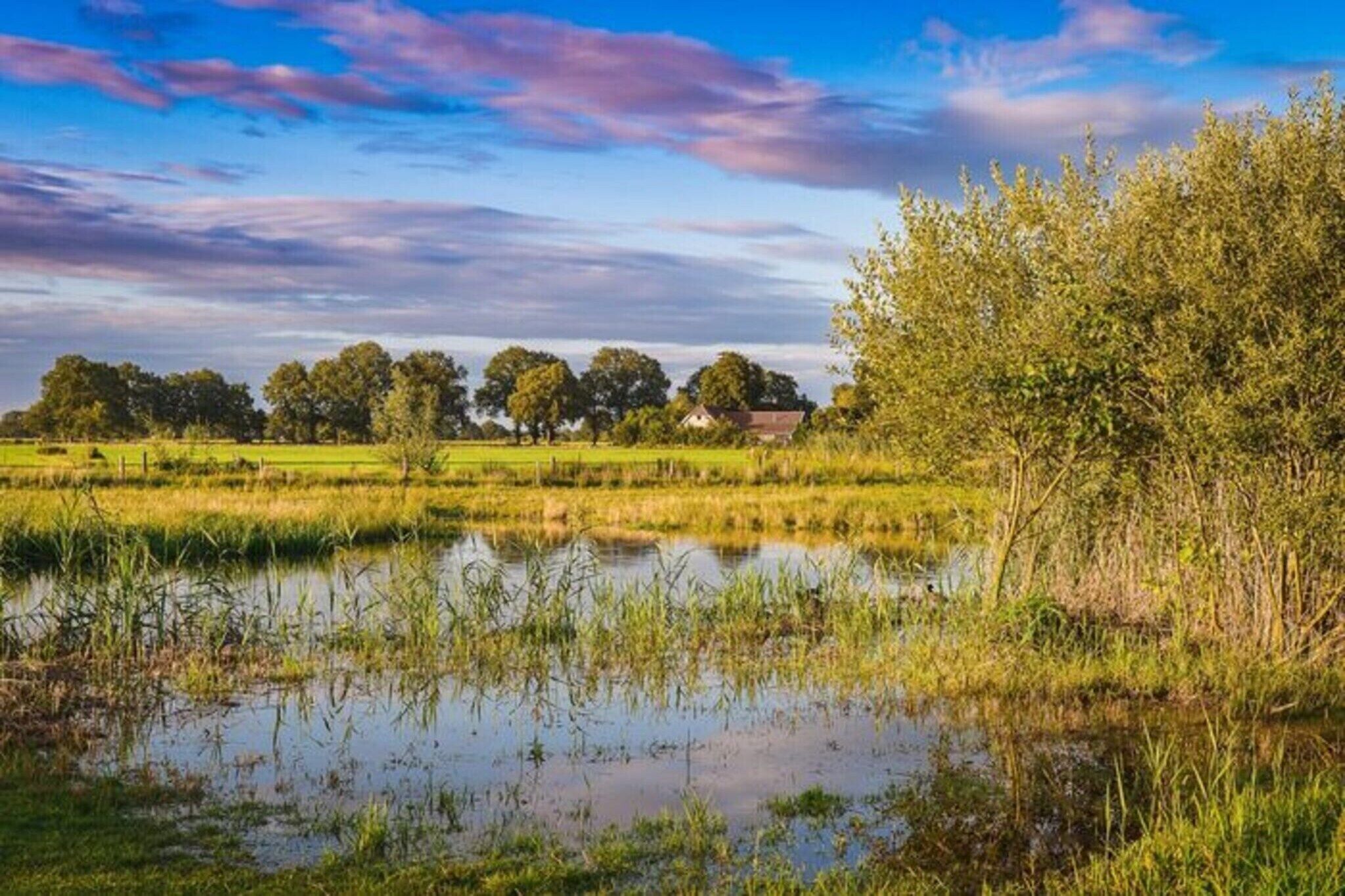 Paisatge rural amb una bassa, arbres i una casa a la llunyança.