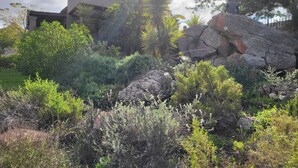 Een natuurlandschap met een rotsformatie, weelderige begroeiing en een piramidevormige structuur op de achtergrond.