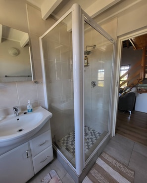 Un baño moderno con ducha de vidrio, un lavamanos blanco con dispensador de jabón y un espejo sobre el lavamanos.