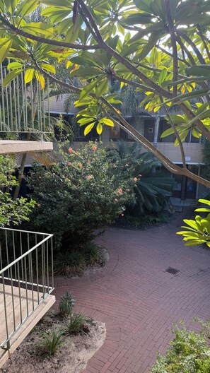Un sendero pavimentado rodeado de abundante vegetación y una barandilla de metal.