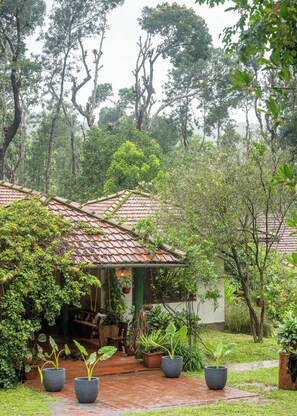 Une maison avec un toit en tuiles, entourée d’une végétation luxuriante et agrémentée de plantes en pot.