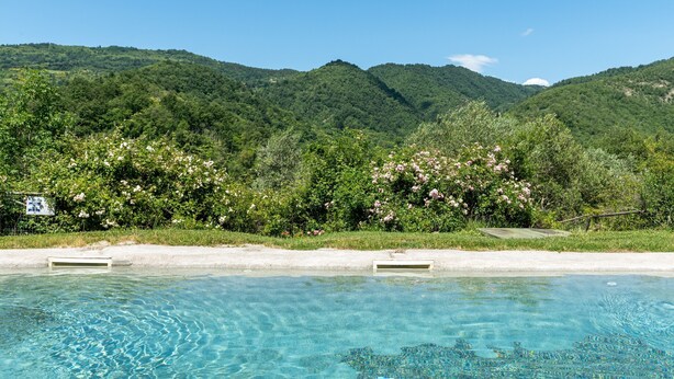 Unclassified image, 1 of 24, button - Uliveto – with Shared Pool, Wi-Fi, and Air Conditioning (Pontassieve)