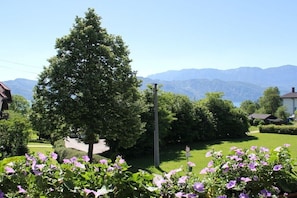 Ein Wohngebiet mit einem großen Baum, gepflegtem Rasen und Bergen im Hintergrund.