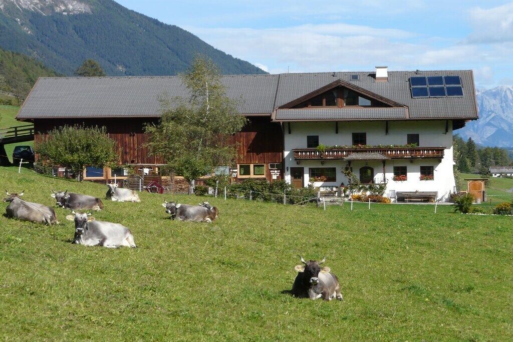 Ulkopuoli