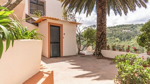 A small building with a door, surrounded by potted plants and a palm tree.