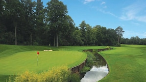 Een golfbaan met een waterhindernis, bomen en een vlag.