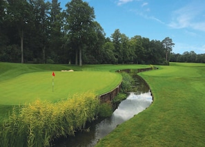 Golfkenttä, jossa on vesiesteitä, puita ja lippu.