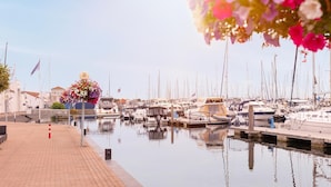 Un puerto deportivo con barcos amarrados, un arreglo floral y cielo despejado.
